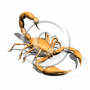 Avatar do Utilizador