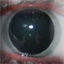 Avatar do Utilizador
