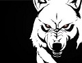 Avatar do Utilizador
