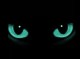 Avatar do Utilizador