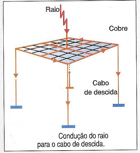 Gayola de Faraday.jpg