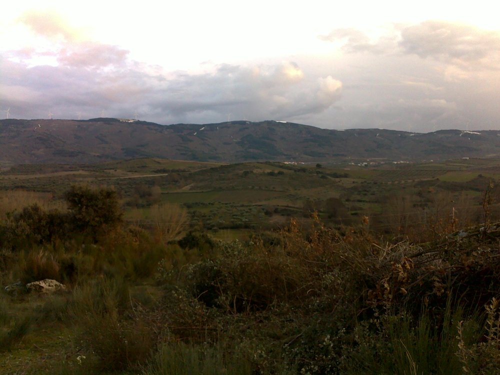 as portas da sala ficam viradas para esta vista.