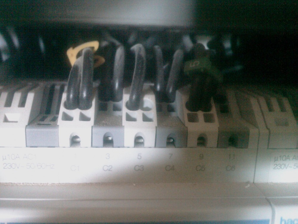 Foto1.jpg