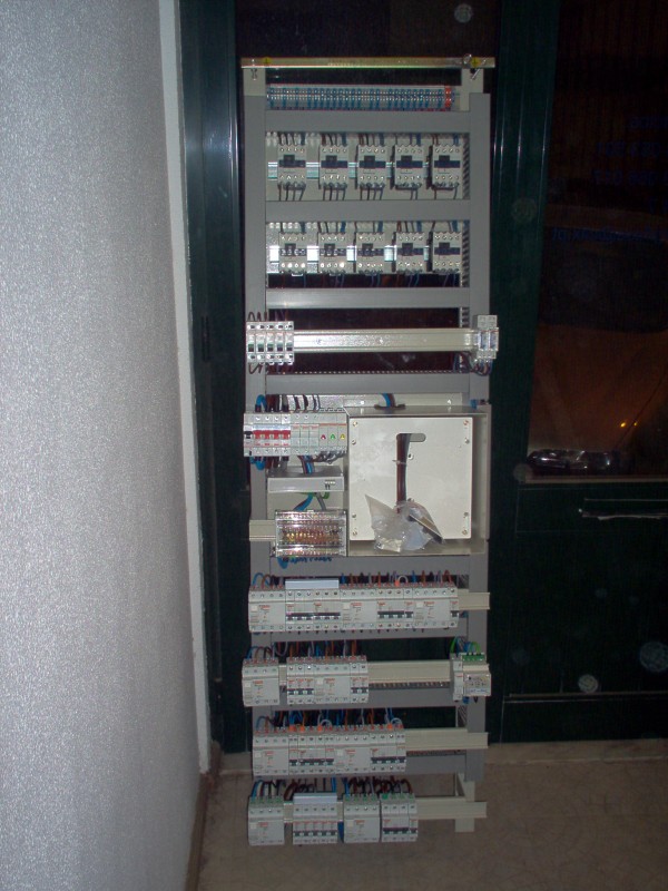 003.JPG
