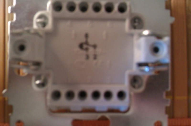 IMAG0103.jpg