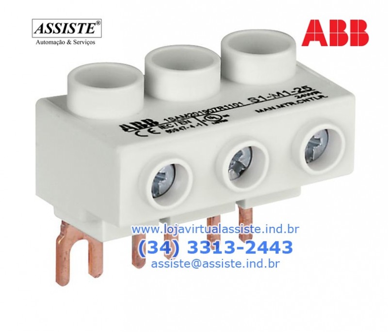 s1-m1-25_-_abb.jpg